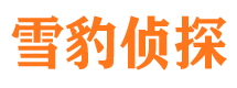 新津市调查公司